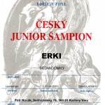 leonberger Sedmidomky junior champion