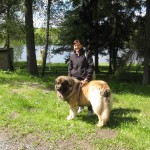 leonberger Sedmidomky
