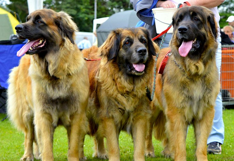 naše trio pohledem návštěvníka :)