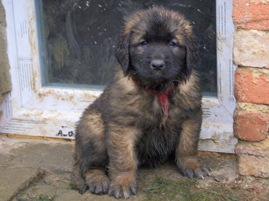 špinavá a krásná