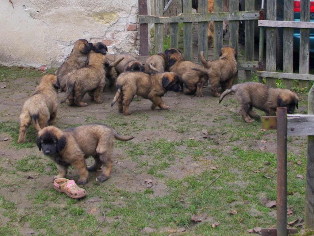 přijde ještě někdo