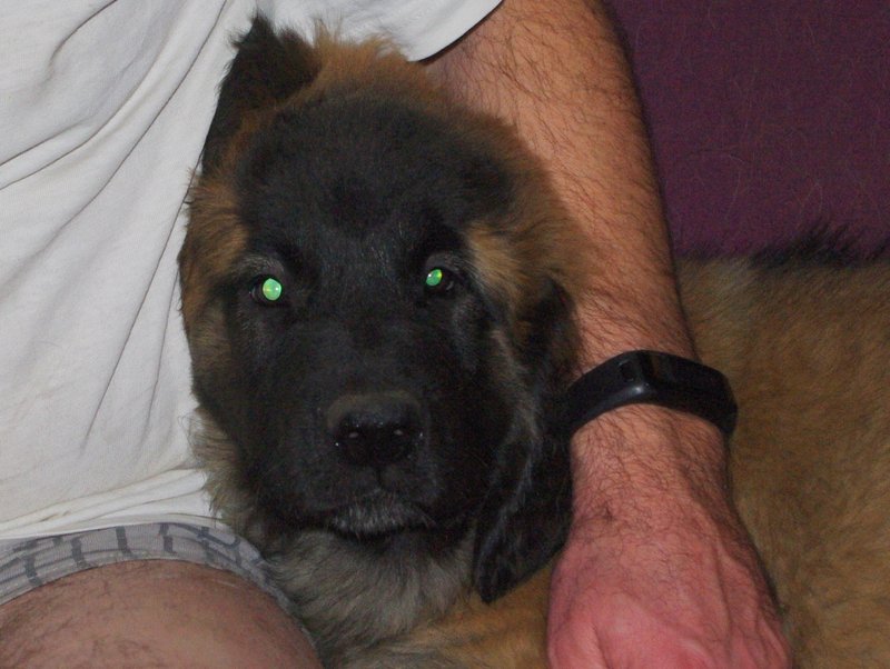 Jori, slečna domácí